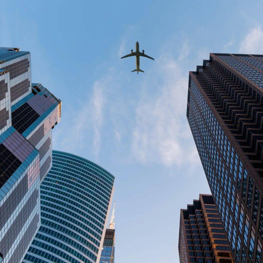 
我读【开云电竞中国】(图7)