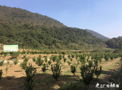 
“百名记者走下层·小康生活我打卡”大型主题宣传报道运动第十四站走进瑞昌|开云电竞中国(图4)