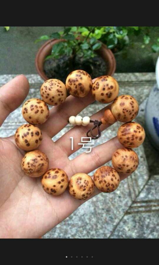 开云电竞官方网站