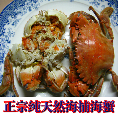 开云电竞官方网站