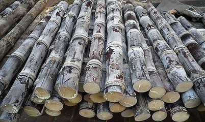 开云电竞官方网站