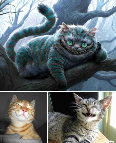 开云电竞官方网站