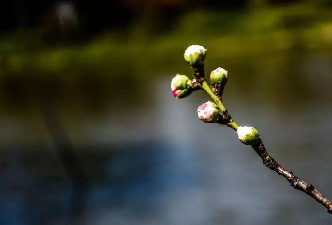 医保定点医疗机构如有“诱导住院”“虚假住院” 举报有奖【开云电竞中国】(图1) 开云电竞中国