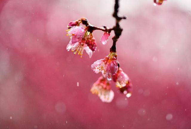 
9月9日生肖运势前三_开云电竞中国(图3)