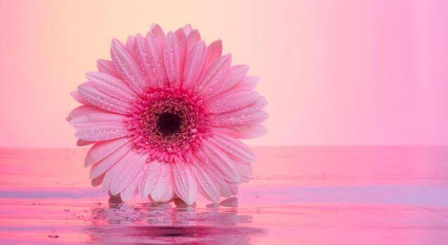 
9月9日生肖运势前三_开云电竞中国(图7)